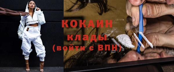 индика Покровск