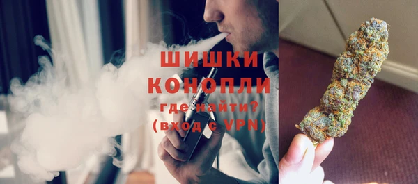 индика Покровск