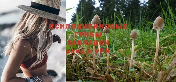 индика Покровск