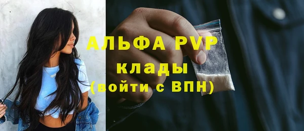 jwh Тайга