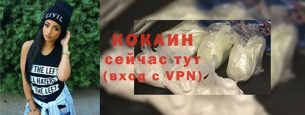 индика Покровск