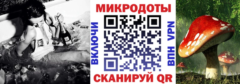 Галлюциногенные грибы Psilocybe  Алейск 