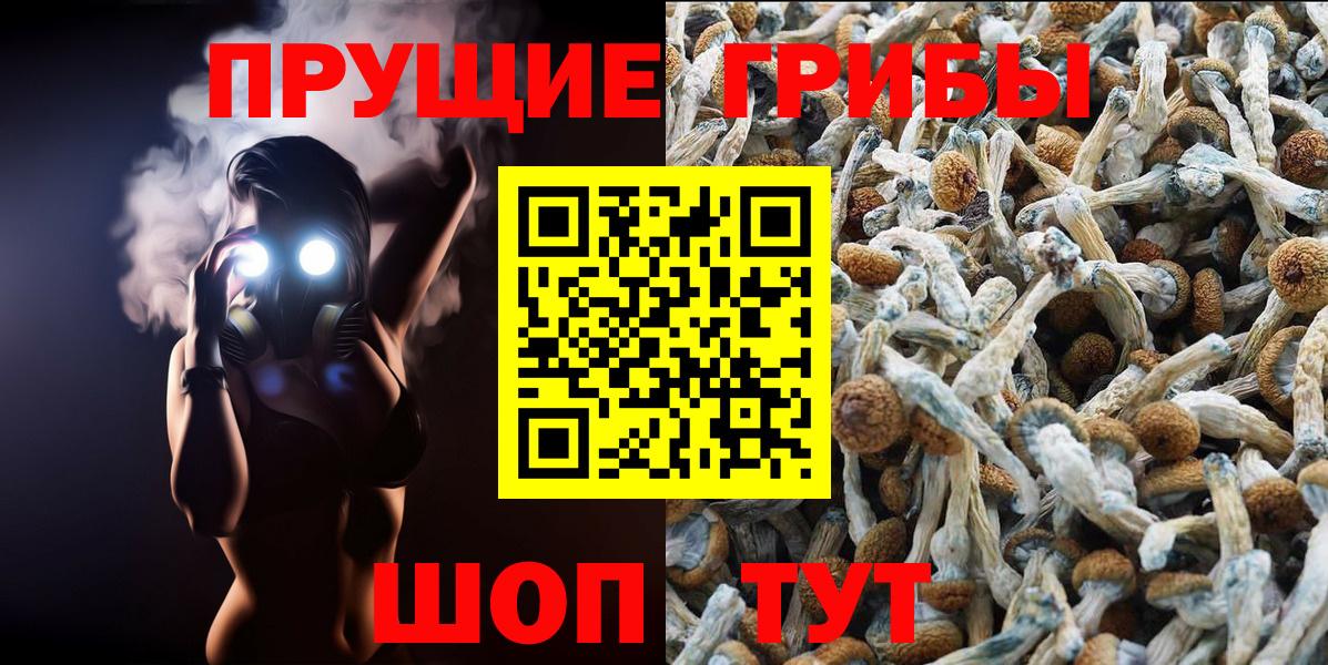 Алейск  Псилоцибиновые грибы прущие грибы  Вход с VPN 