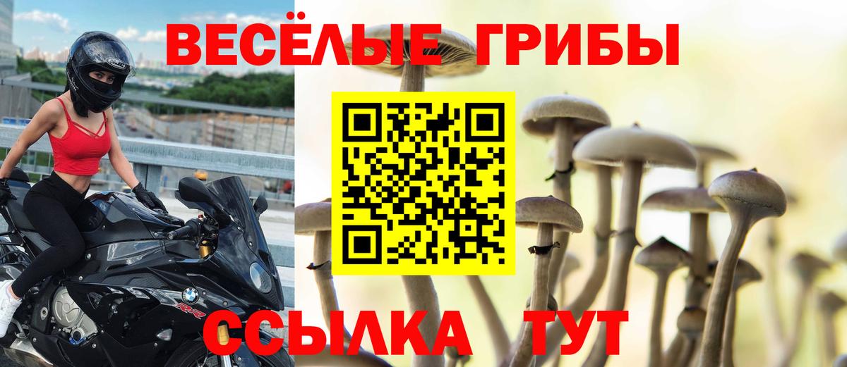 Псилоцибиновые грибы мухоморы  Псилоцибиновые грибы GOLDEN TEACHER  Алейск 