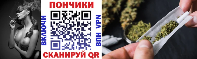 гидра   Алейск  Бошки марихуана тримм  где можно купить наркотик 